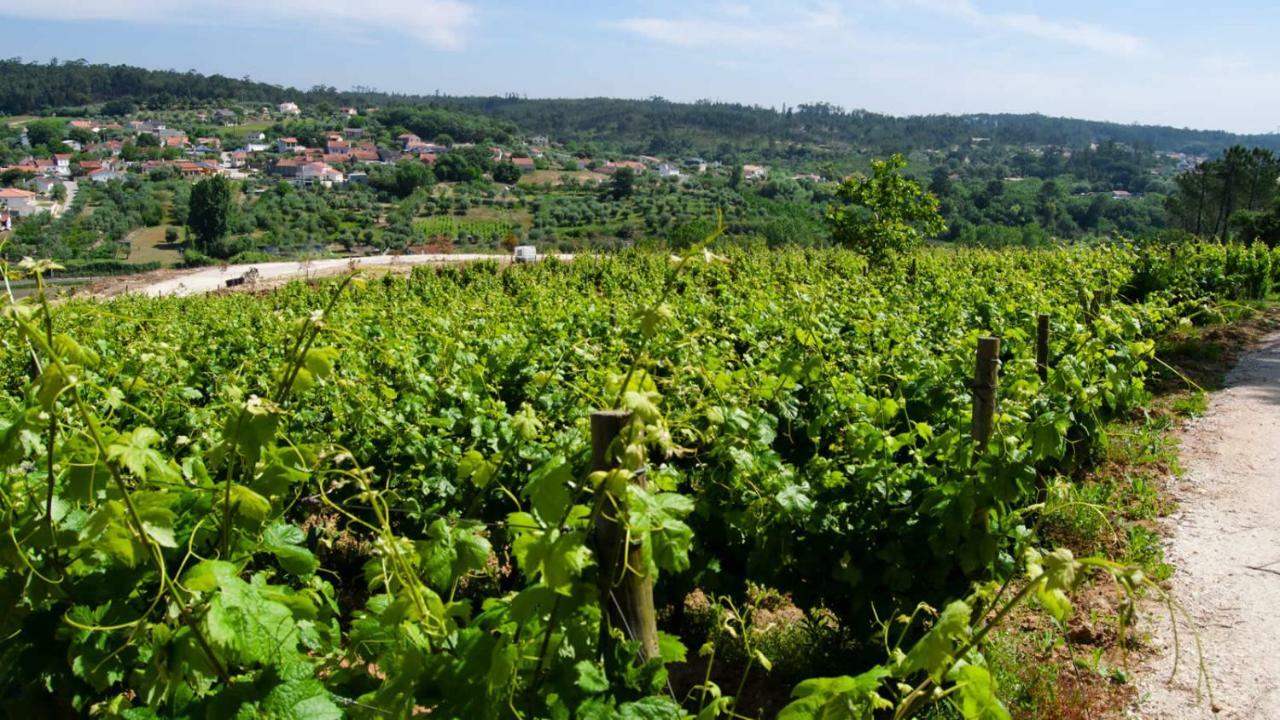 Quinta Da Serrana Орен Екстер'єр фото