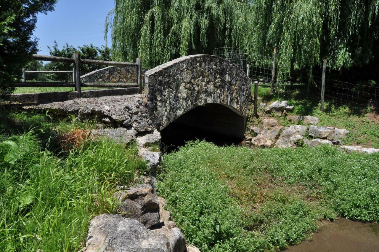 Quinta Da Serrana Орен Екстер'єр фото